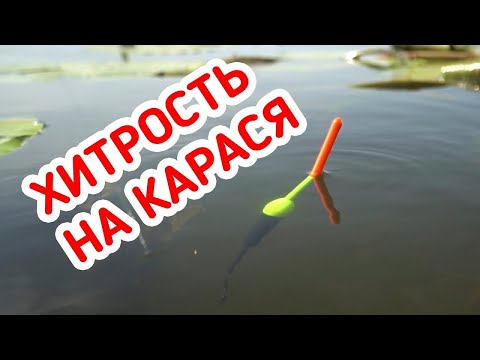 Видео: РЫБАЛКА на КАРАСЯ! Лучшая насадка на карася - РВАНЫЙ КРАСНЫЙ!