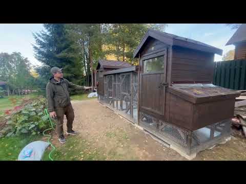Видео: СУПЕР умный курятник! Эксклюзивный, автономный, надежный!