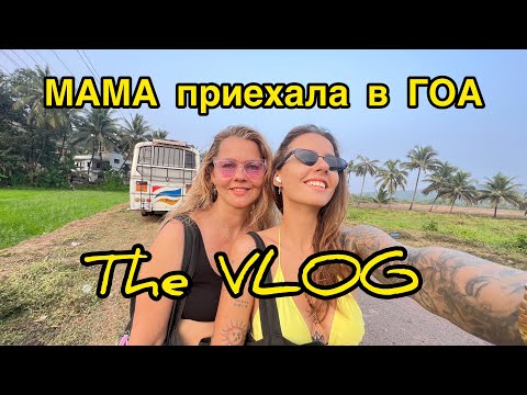 Видео: The VLOG! МАМА ПРИЕХАЛА В ГОА! День с МАМОЙ на Кериме