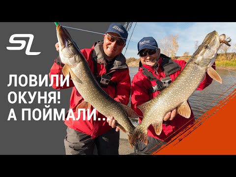 Видео: Трофейная ЩУКА! Килограммовый ОКУНЬ. Ловля на кренки. Ловля на джиг. Часть 2.