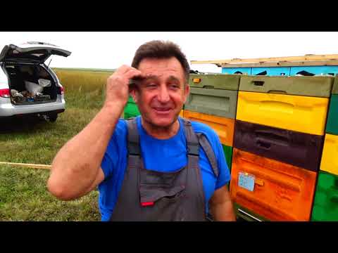Видео: Кочёвка не удалась  но  опыт прибавился
