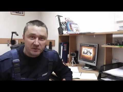 Видео: как научить собаку команде рядом ч 3