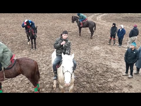 Видео: 15.02.2025 Тілектес ауылы Нұрқанат бауырымыздың елден бата алу көкпар тойы