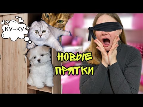 Видео: 24 ЧАСА ИГРАЕМ В ПРЯТКИ С КОТАМИ В НАШЕМ ДОМЕ