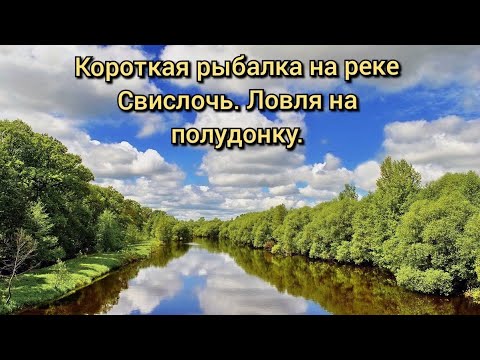 Видео: Короткая рыбалка в мае на реке Свислочь!