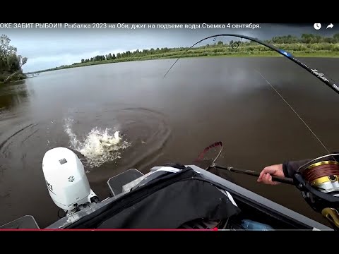 Видео: НАШЛИ ДВЕ ВОЛШЕБНЫЕ КОРЯГИ, ЗЛЮЩИЕ ПОКЛЕВКИ ОДНА ЗА ОДНОЙ!!Рыбалка на Алтае