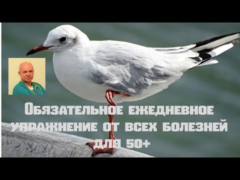 Видео: Обязательное ежедневное упражнение от всех болезней для 50+