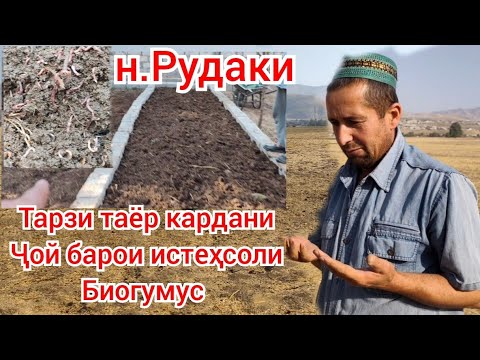 Видео: Маълумот дар бораи тарзи таёр куни ҷой Фуруши кирмак Олисовет н.Рудаки 