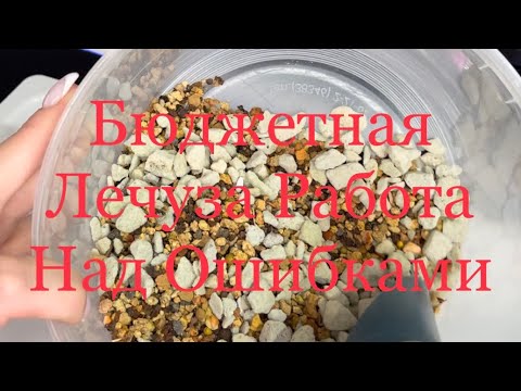 Видео: Бюджетная Лечуза - Корректируем  Состав !