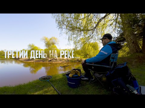 Видео: Третий день на реке жду хода волжского карася! Самая красивая река Подмосковья!
