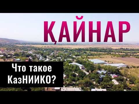 Видео: Село КАЙНАР, Карасайский район, Алматинская область, Казахстан, 2021.