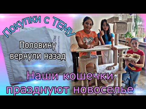 Видео: Распаковка покупок с ТЕМУ/ Собрали когтеточку/ И не только...#жизньвгермании #семейныйвлог