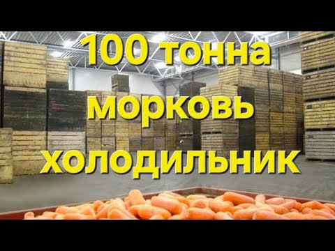 Видео: #холодильник #uzbekistan #biznes 🌬❄️🍊🍎🥕 +998335098909 +998998274859