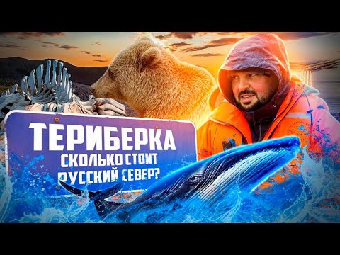 Видео: ВОЛШЕБНАЯ ТЕРИБЕРКА -  магия Русского Севера | Цены | Маршруты
