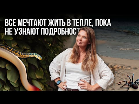 Видео: Когда даже дома чувствуешь, что не одна.. #Мексика, #Канкун