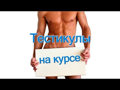 Видео: Тестикулы на курсе