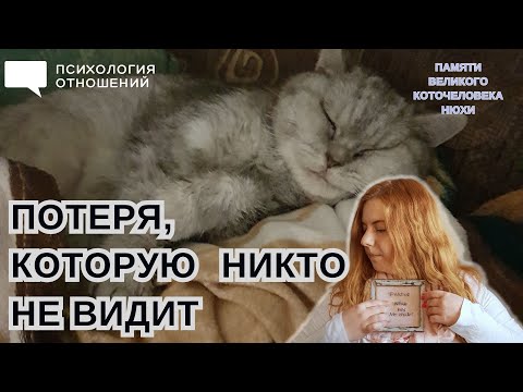 Видео: Пережить потерю любимца. Горе, которое поймут немногие (+ психология утраты)
