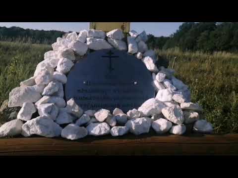 Видео: Деревенские просторы/встречаем гостей