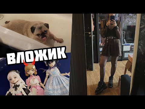Видео: Влог: обычный понедельник, работа, уход за мопсом, распаковка с Озона/Авито/Яндекса, играем в Сети