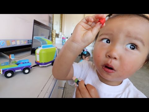 Видео: Шагналаа булаацалдаад бөөн юм болов | The Mongolian Family