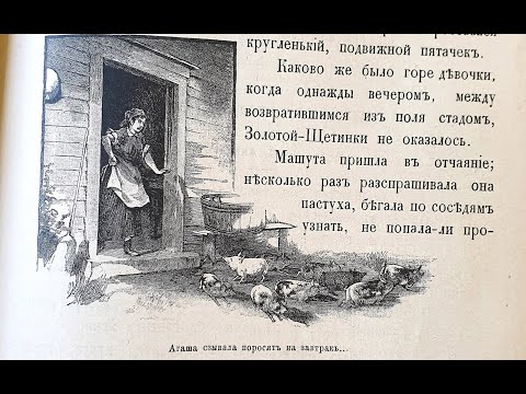 Видео: «Свинка золотая—щетинка». Сказка В.П. Андреевской.