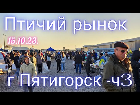 Видео: Голуби цены Птичий рынок г Пятигорск-ч3