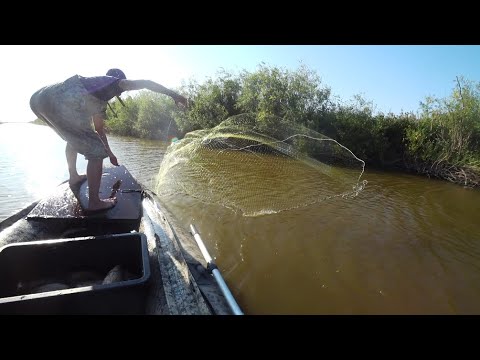 Видео: Новая накидка сильно удивила. Огромные караси и не только.