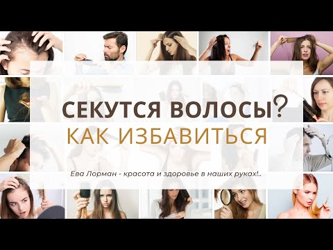 Видео: Сечение волос | Как убрать сечение волос ! Секущиеся кончики волос ! Почему секутся волосы