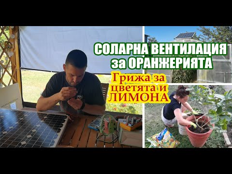 Видео: СОЛАРНА ВЕНТИЛАЦИЯ за оранжерията: Грижа за цветята и ЛИМОНА