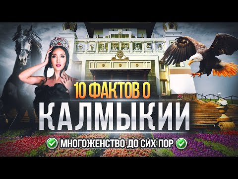 Видео: Калмыкия: туристам ВАЖНО это знать при посещении КАЛМЫКИИ! Факты о калмыках, о которых все молчат!