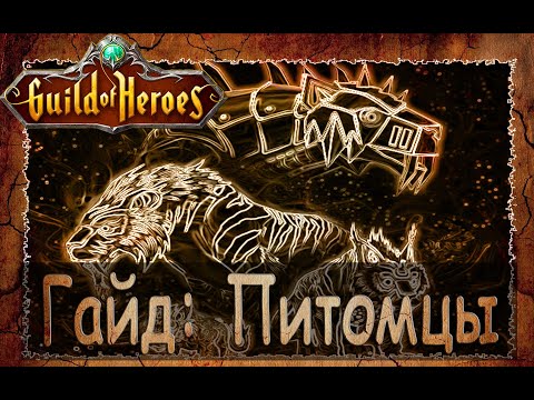 Видео: Питомцы в Гильдии Героев: расскажу все по шагам.