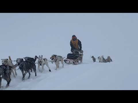 Видео: Дневник Берингии 2024 выпуск 9