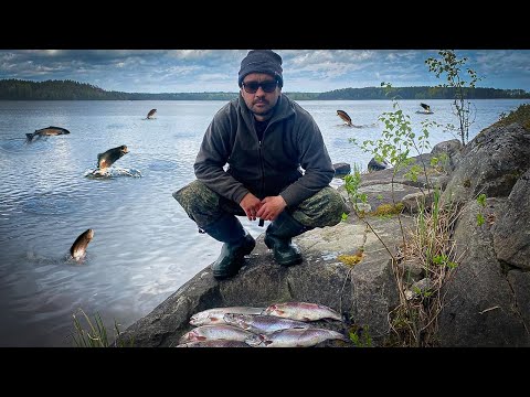 Видео: В ЭТОМ ОЗЕРЕ ФОРЕЛИ НЕМЕРЕНО! РЫБАЛКА НА БЕГЛЯНКУ | УТРЕННЯЯ ЗОРЬКА В КАРЕЛИИ