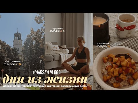 Видео: 🍂🧶 уютный осенний влог: выставки, домашняя пицца, начала вязать, моя рутина