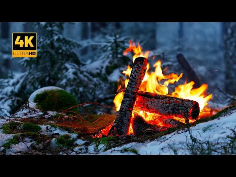 Видео: 4K Костер в заснеженном лесу ❄️ 100% аутентичные звуки 🎁 Рождество