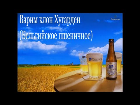 Видео: Варим Хугарден - пшеничное пиво на IBREW 40 -  Рецепт, история, дегустация.