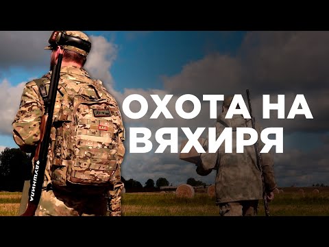 Видео: ОХОТА НА ВЯХИРЯ | с чучелами, скрадом