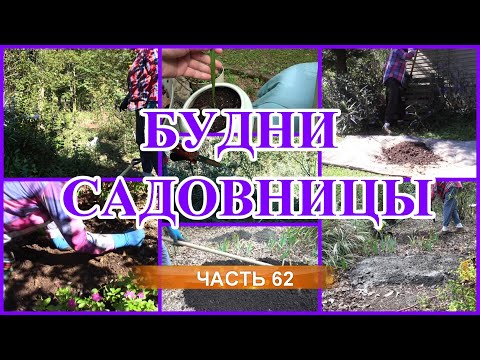 Видео: Будни садовницы. Часть 62.