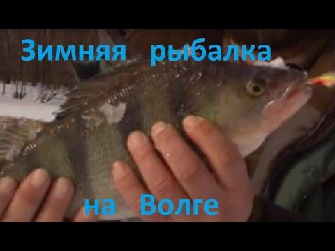 Видео: Диалоги о рыбалке -  207- Нижний Новгород, рыбалка в Разнежье