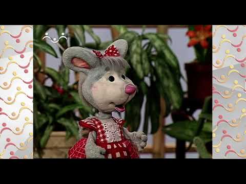 Видео: Шишкин Лес.  Зимний сад.  Кактусы