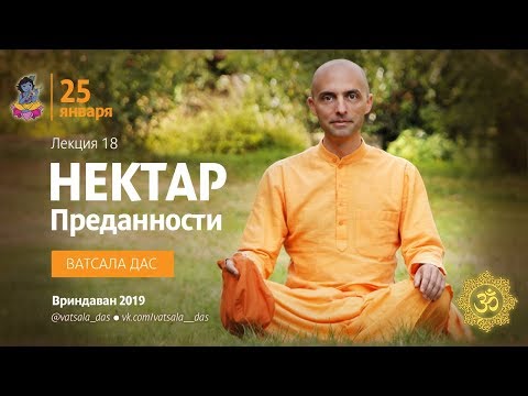 Видео: Нектар Преданности. 18 лекция (25.01.2019). Ватсала дас