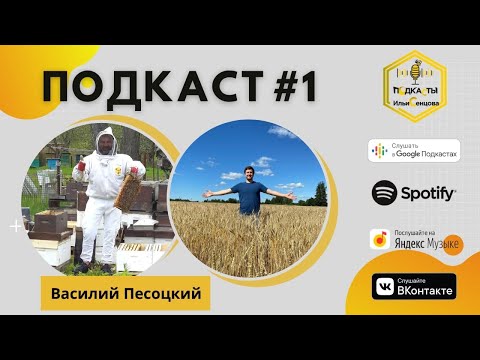 Видео: Аудиоподкаст #1: Василий Песоцкий об адаптации системы И.Степплера, курсах сомелье и воровстве