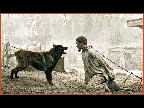 Видео: ҚАРА ҚҰЛ  БАС БОСТАНДЫҒЫ ҮШІН ҚАШЫП ШЫҒАДЫ, КЕЙІН ЕЛІН АЗАТ ЕТУ ҮШІН СОҒЫСҚА ҚАТЫСАДЫ / қысқаша кино