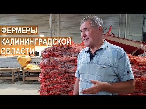 Видео: Есть фермеры в Калининградской области? Фермер Чечулин С.А., глава КФХ Калина