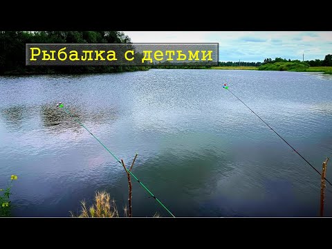 Видео: Рыбалка с детьми / Рыбалка на карась и гальяна / День рыбака