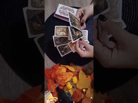 Видео: Има ли план за вас,какъв е той според Таро💝♥️😈