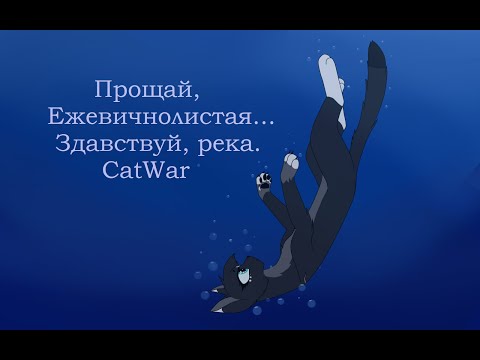 Видео: Прощай, Ежевичнолистая. Здравствуй, река / CatWar