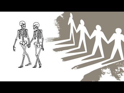 Видео: Близнецовые пламена. Возможен ли союз на физике?