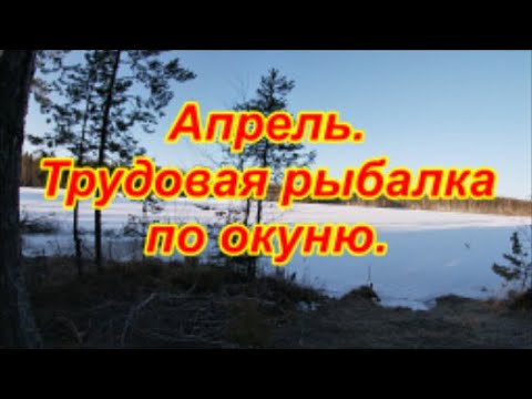 Видео: Апрель  Трудовая рыбалка по окуню
