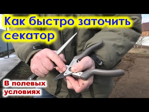 Видео: Как БЫСТРО ЗАТОЧИТЬ СЕКАТОР в полевых условиях